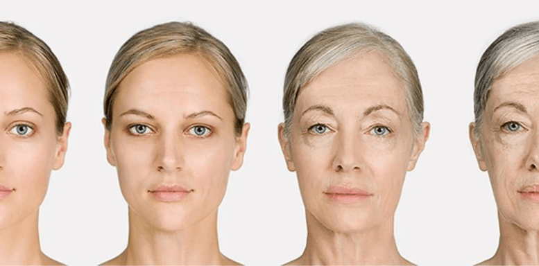 Почему кожа стареет